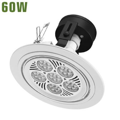 China 60W Modern PAR 38 PAR38 LED Spotlight Recessed Reccessed Cilling Ceeling Spot Lighting PAR38 LED DownLight for sale