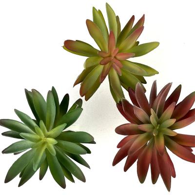 China Decoration Plant Sale Artificial Succulent Plant Plastic Flower For Home Decoration for sale