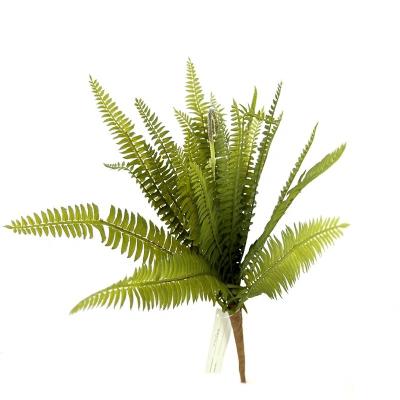 China Artificial Fern Plant Succulent Leaves Pot Silk Decorative Green Plastic Artificial Green Eucalyptus Leaf Shorts Wholesale for sale