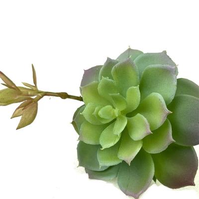 China Decoration plastic to create a realistic look natural touch decoration single mini branch succulent for sale