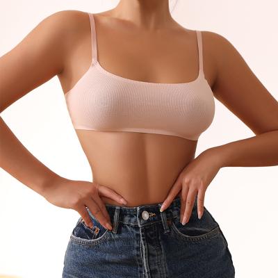 China 2022 New QUICK DRY Soft Seamless Wireless Vest Bras Ladies Push Up Sports Bra Fitness Yoga Top Underwear for sale