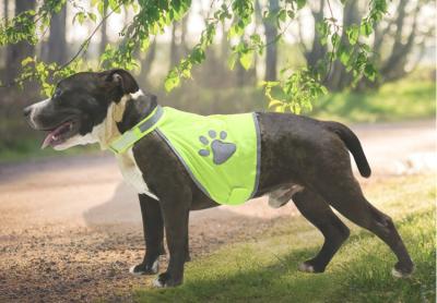 China Green / yellow Hi vis Pet Safety Vest , outdoor use Dog reflective safety vest for sale