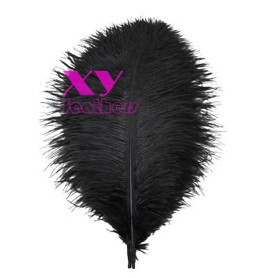 China Factory Durable Cheap Price 40cm-45cm Black Ostrich Feathers for sale