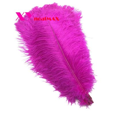 China Party 75-80cm Real Natural Ostrich Feathers Wedding Halloween Decorations House Decoration Large Gray for sale