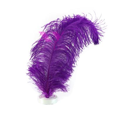 China Wholesale China Party 75-80 Cm Large Ostrich Feathers Feather For For Wedding Centerpiece Decoration for sale