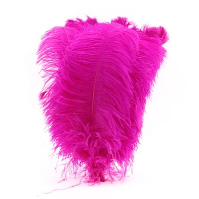 China Decoration Wholesale Feathers 75-80CM Color Ostrich Feather Wedding Home Decoration for sale