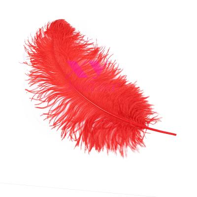 China Party 70-75cm Real Natural Ostrich Feathers Wedding Halloween Decorations House Decoration Large Gray for sale