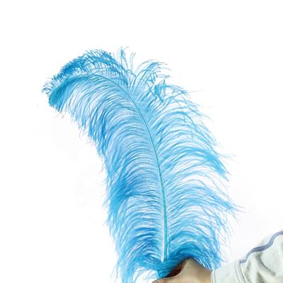 China Wholesale price 55-60cm party china ostrich feather used for festivals parties or carnival decoration for sale