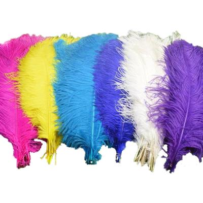 China High Quality Decoration 50cm~55cm Ostrich Feathers For Wedding Decoration for sale