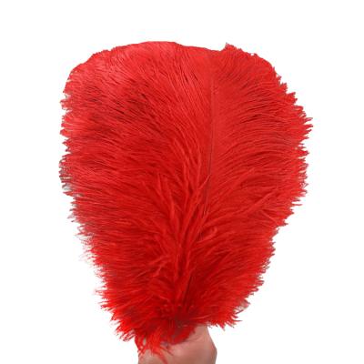 China Wholesale Wedding Decorations Party Ostrich Feather 100pcs/lot 45-50cm Feather Performance for sale