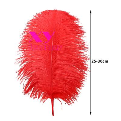 China Decoration Wholesale 25-30cm Gorgeous Natural Ostrich Feather For Decorations for sale