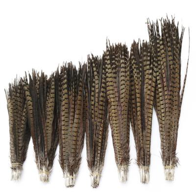 China Durable hot sale factory direct pheasant feathers 100cm pheasant feathers 100 cm pearl pheasant feathers for sale