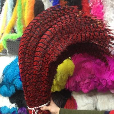 China Durable Wholesale Cheap Pheasant Feathers For Carnival Cheap Pheasant Feathers Carnival Pheasant Feathers for sale