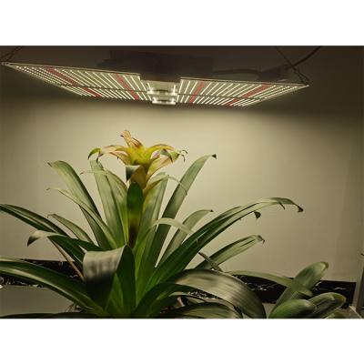 China Seed Starting Wholesale Customized Indoor Plant Led Agriculture Greenhouse Light Horticulture Grow Light for sale