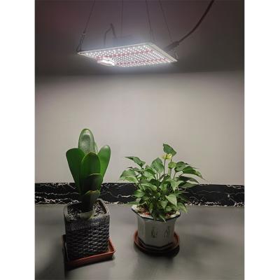 China Seed Starting Spectrum Indoor Commercial Hydroponic Adjustable Bright Plant Lights Led for sale