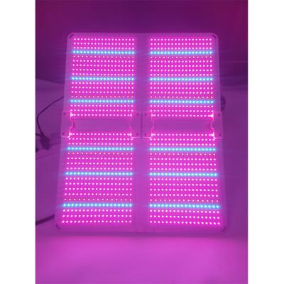 China Seed Starting Indoor Plant Dimmable Full Spectrum Lamp Grow Lights Plants Greenhouse For Plants for sale