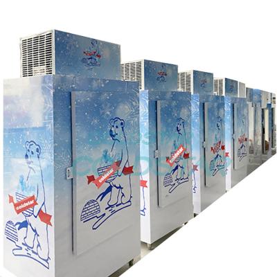 China Solar Power Outdoor Cold Ice Freezer Commercial Ice Storage Cooler Ice Freezers Wall Refrigerated Container for sale