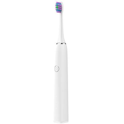 China Battery Operated Sonic Electric Toothbrush Aldults Electric Waterproof Toothbrush for sale