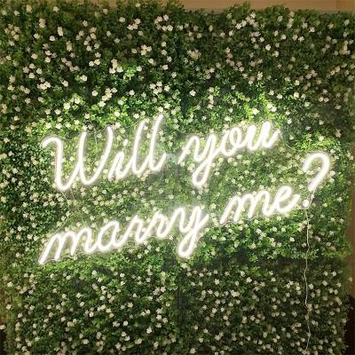 China DIY Waterproof 12V Theme Park Letters Neon Wedding Sign for sale