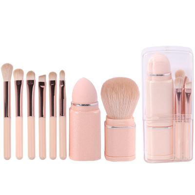 China Angular Blush Custom Small Makeup Brush Travel Set 8pcs Mini Makeup Brushes Kit Make Up Brushes With Retractable for sale