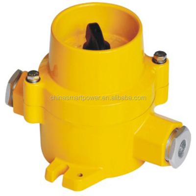 China Cast Aluminum Cover IP66 Explosion Proof Switch ZYk18 for sale