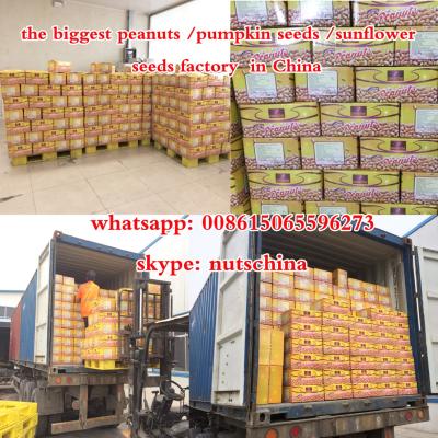 China Dry BULK FRIED SALTED PEANUTS 10kgs 20kgs 25kgs 25/29 35/39 for sale