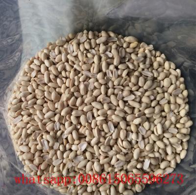 China Shandong Dried Chinese Blanched Peanut Kernels 25/29 29/33 35/39 for sale