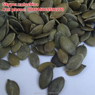 China Dried Dark Green Pumpkin Seeds GWS AAA/AA/A/OIL GRADE for sale