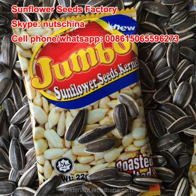 China Dried sunflower seeds 5009 24/64 26/68 for sale