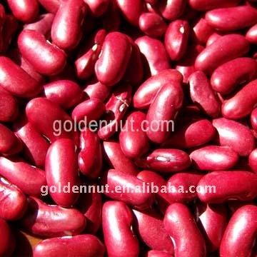 China Dried Dark Red Kidney Beans for sale