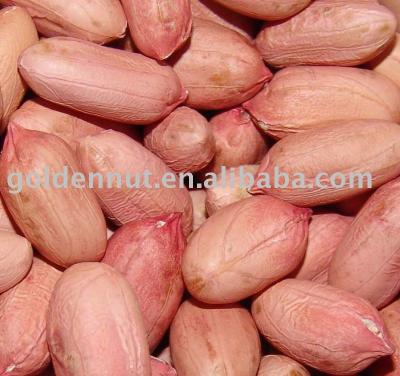 China Dried peanut kernels for sale