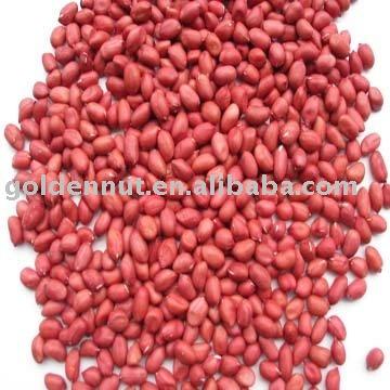 China Dried Red Skin Peanut Kernels 50/60 for sale