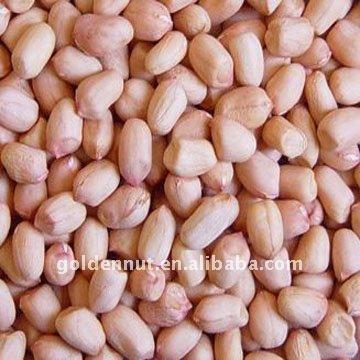 China Dried peanuts for sale