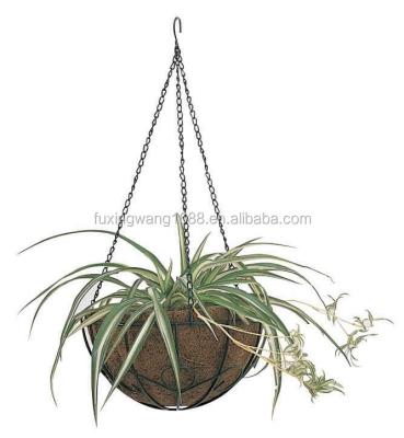 China FlowerPlanter Black Plant Metal Hanging Basket On Sale for sale