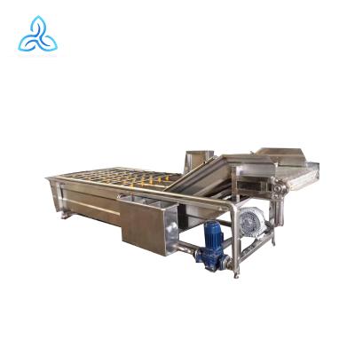 China Industrial Line Snack Factory Bubble Leaf Vegetable And Fruit Washing Machine Price for sale