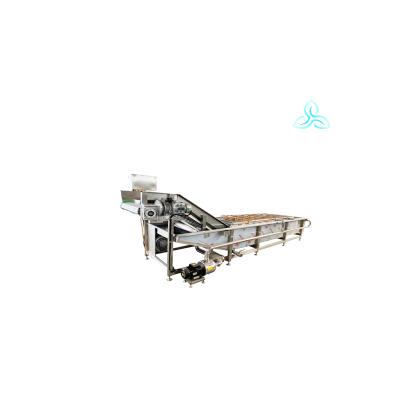 China Fruit Processing Plant Vegetable Washing Production Line Fruit And Vegetable Bubble Washing Machine for sale