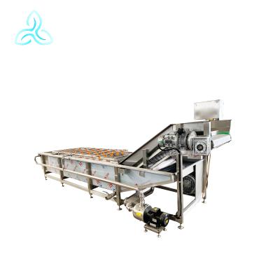 China Fruit/vegetable processing plant automatic fruit and vegetable processing line washing and cutting machine for sale