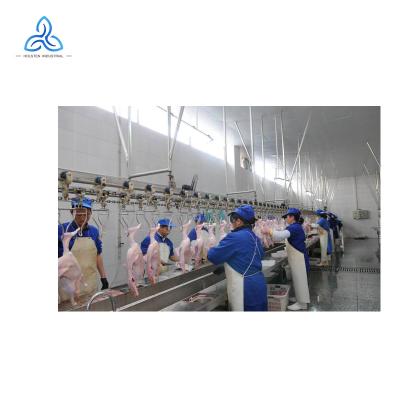 China Slaughtering Pigeon Animal Slaughter Savings Energy Poultry Slaughter Line for sale