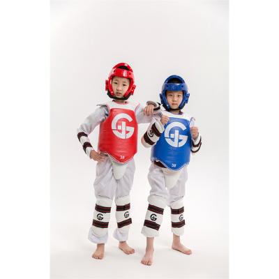 China Manufacturers Direct Selling Full Set Taekwondo Protective Gear Single Gear for sale