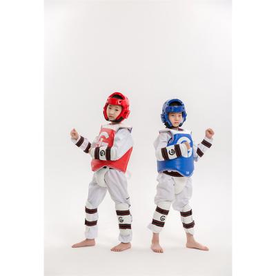 China Cheap and High Quality Protective Gear Kit Taekwondo Protection Equipment Plain Gear for sale