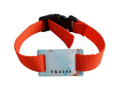 China wr8865 UHF HF UHF hotel concert festival rfid pvc background wristband sunbestrfid waterproof/waterproof for sale