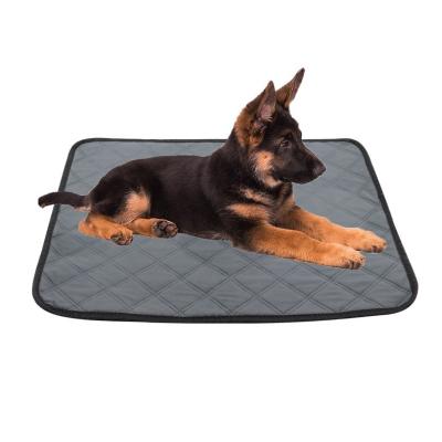 China Wholesale Universal Material Anti-slip Upper Pet Absorbent Stocked Waterproof Floor Mat for sale