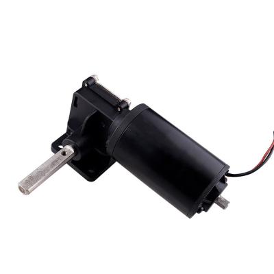 China Customized totally enclosed clothes rack motor 12v 24v 100w clothes stretch dc worm gear motor for sale for sale