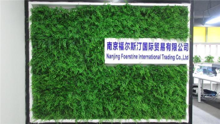 Verified China supplier - Nanjing Foerstine International Trading Co., Ltd.