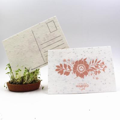 China Implantable Europe seed paper grass can be used for seed paper thank you cards and christmas cards for sale