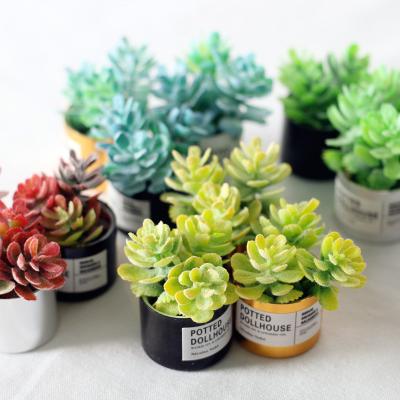 China Mini Plant Pot For Home Plant Play/Education 1:12 Scale Miniature Model Dollhouse for sale