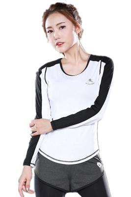 China CPG Global Women Multi-Color Breathable Polyester Slim Fit Long Sleeves Round Collar Running T-Shirts Small-Large S53 for sale