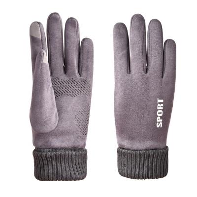 China Comfortable Hand Warmer Winter Gloves Women Arm Warm Mitten Suede Gloves for sale