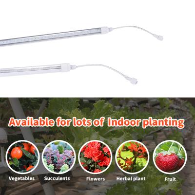 China VEG+BLOOM+COB Full Spectrum Lamp Greenhouse LED Phyto Waterproof Grow Lights For Indoor Plant Seedling Grow Hydroponic Flower Growth for sale