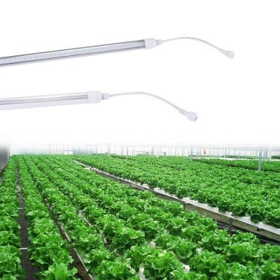 China VEG+BLOOM+COB Full Spectrum Grow Light 3W 14LEDs 5W 27LEDs Flexible Plant Grow Phyto Lamp Red Blue Lights For Indoor Flower Plant for sale